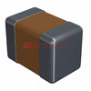 SH21B333K100CT Image