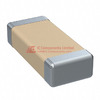 C1206H273J5GACT500 Image