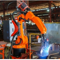 Coboty kontra roboty: jaka jest różnica i co jest lepsze?